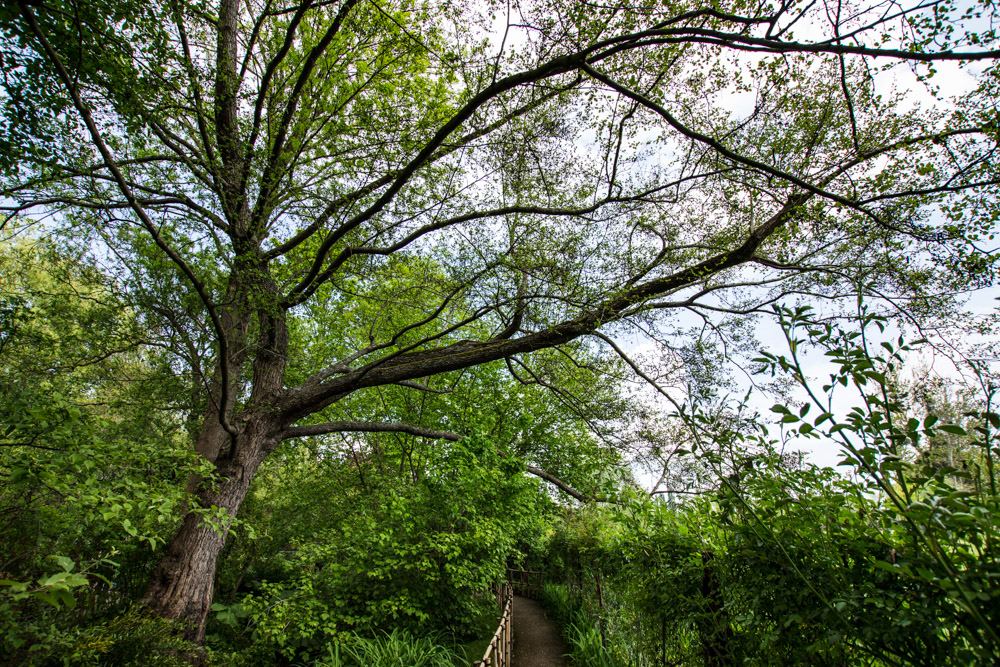 Giverny is best known as the location of Claude Monet's garden and home