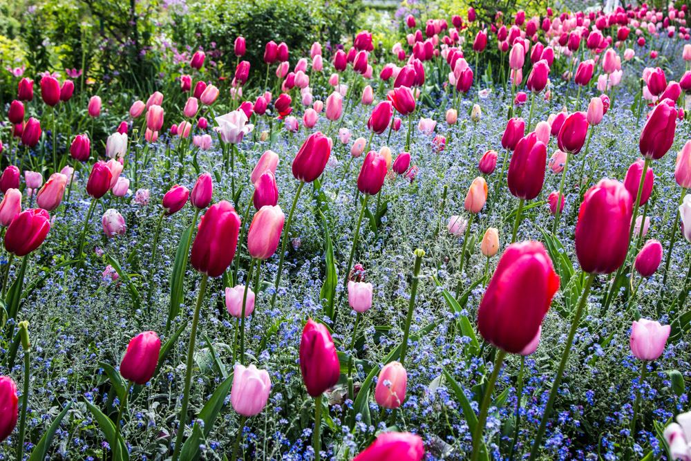 Giverny is best known as the location of Claude Monet's garden and home