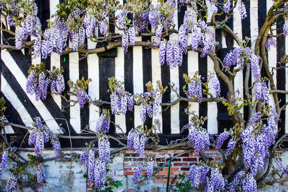 BEUVRON-en-AUGE village in Normandy