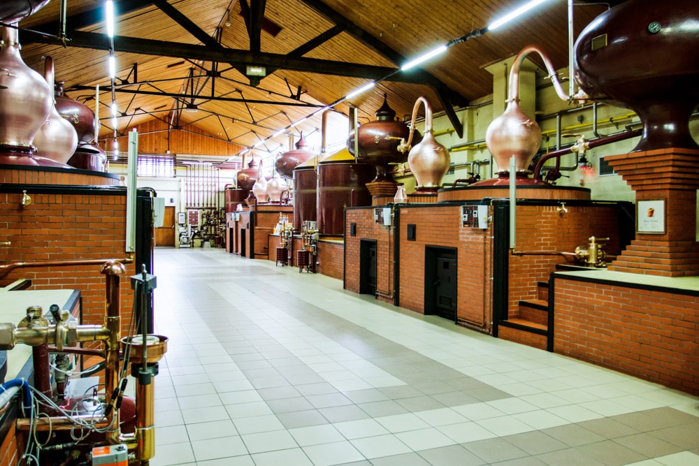 Calvados distillery in Auge area