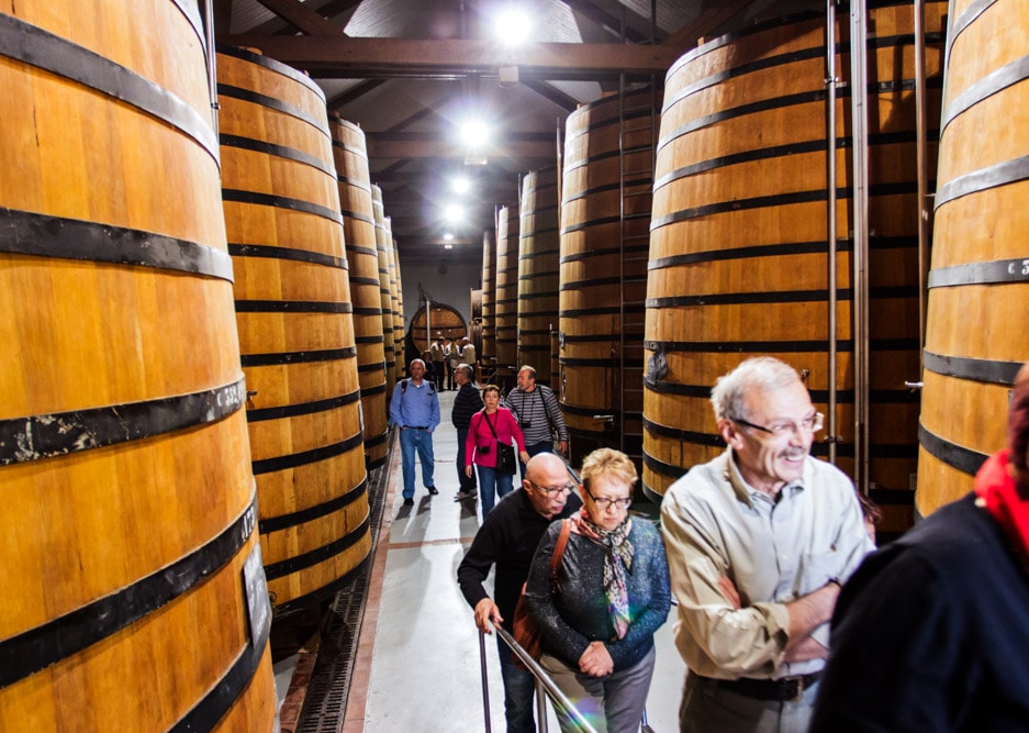 Calvados distillery in Auge area